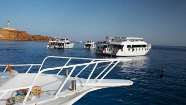 Full Day Dhow Cruise