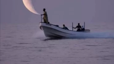 musa​ndam activities